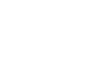 zhongbai.svg